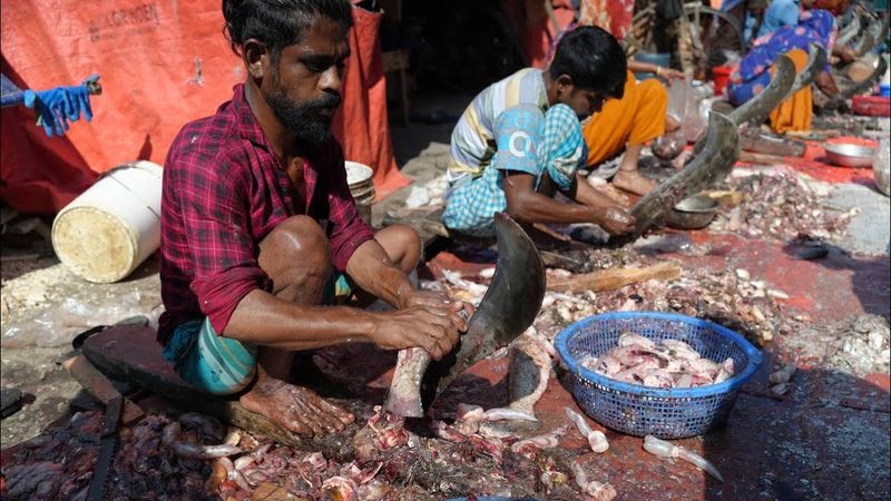 Безумная Индия ! Как Люди живут на мусорной свалке! Адские Условия  Жизни!