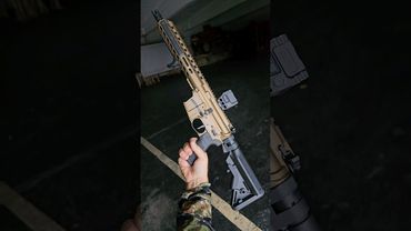 Schmeisser AR-9 ASMR