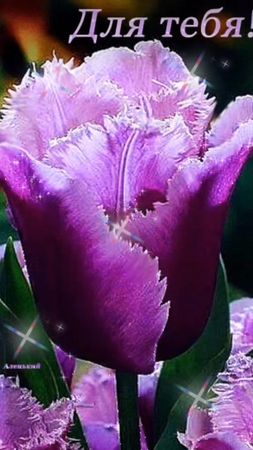 Для тебя!                                                   #всем_доб...