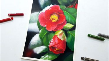 Snowy Camellia | Oil pastel drawing flower 오일파스텔로 눈내린 동백꽃 그리기