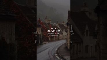 Abdulrahman Mossad | Beautiful recitation