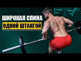 Cексуальные Мышцы Спины одной Штангой. 7 Упражнений