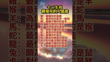 【十二生肖 最愛你的人是誰】#生肖 #十二生肖 #運勢 #生肖運勢 #玄學 #風水 #命理