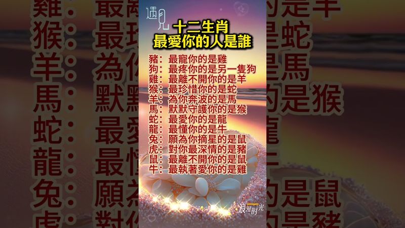 【十二生肖 最愛你的人是誰】#生肖 #十二生肖 #運勢 #生肖運勢 #玄學 #風水 #命理