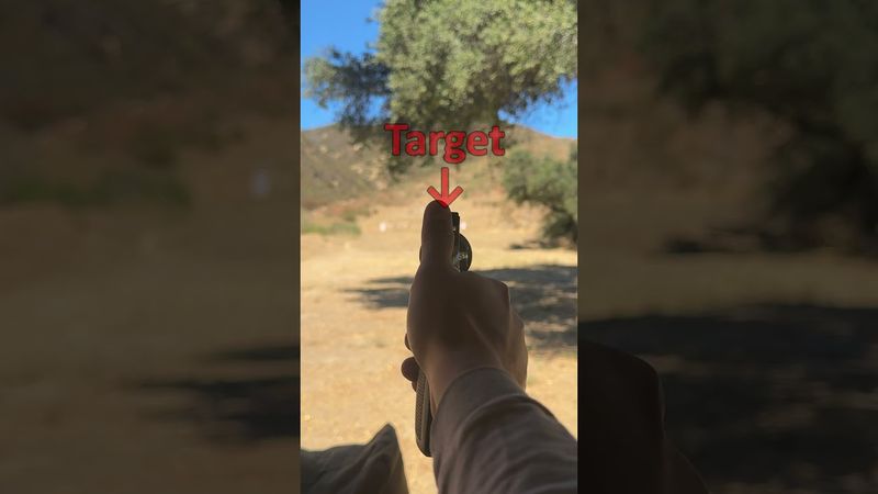 "Rick Grimes" Revolver