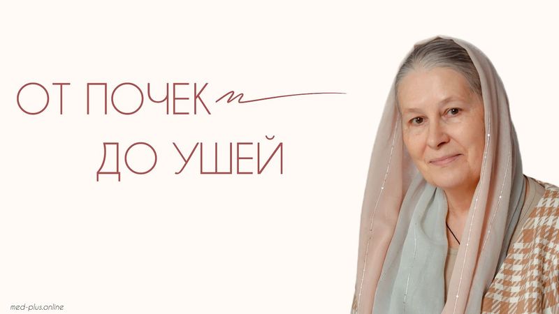 ОТ ПОЧЕК ДО УШЕЙ