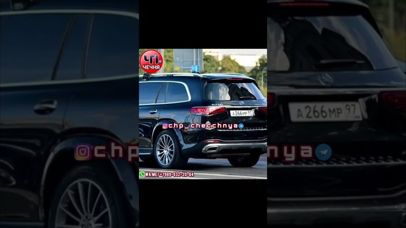 ❗️Те самые чеченцы, и тот самый мерс на блатных номерах 😎