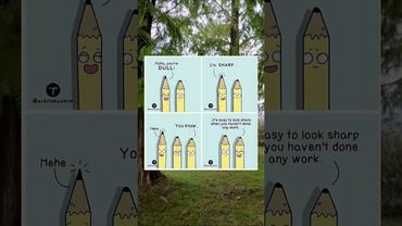 Meme of the day #fyp