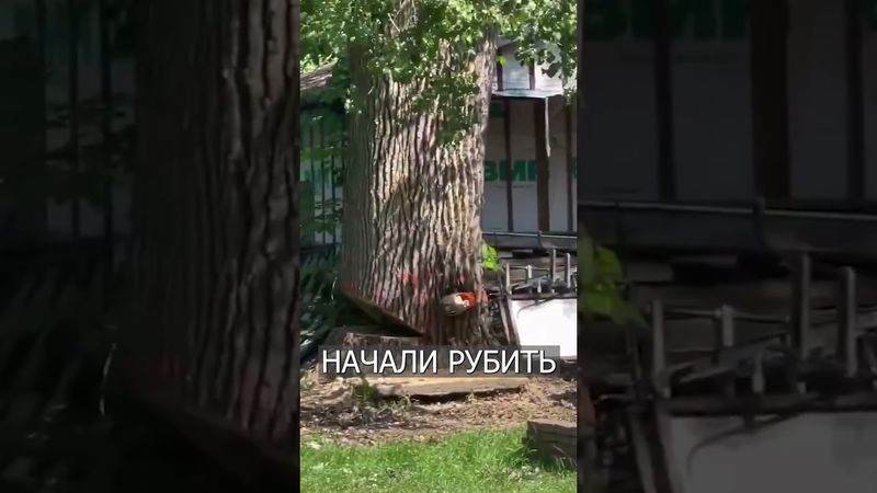 ГОРЕ-МАСТЕРА Свалили Дерево на ДОМ