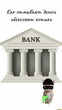 Котик объясняет, как отмывают деньги😻