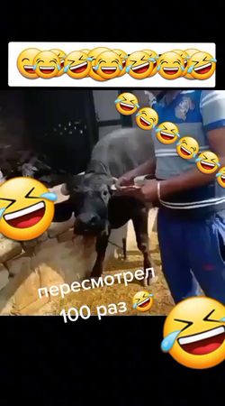 TikTok video #7035329951855430913