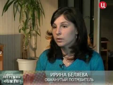 Zverskiy.obman