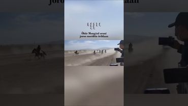 Гонки на рысях. Где-то в Монголии. Монголия Улан-Батор 🇲🇳
