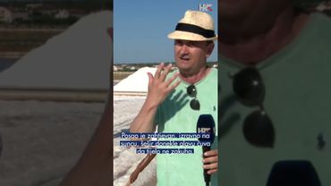 U Ninskoj solani počela berba soli