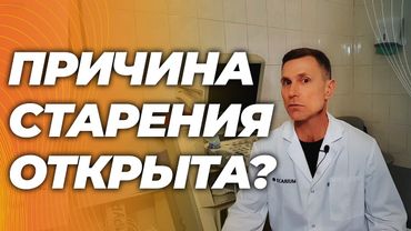 Причина старения та же самая, что и причина хорошего здоровья в молодости