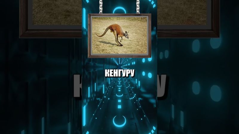 Угадай животное по хвосту! #квиз #тест #животные #викторина