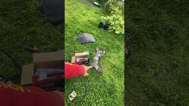 Кайфуйте от жизни ❤️#архип #чайзер #arhip #jdm #jzx #cars