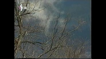 Заставка TDK (TDK)