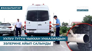 УУЛУУ ТҮТҮН ЧЫККАН УНААЛАРДЫН ЭЭЛЕРИНЕ АЙЫП САЛЫНДЫ