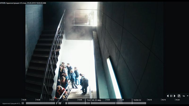 Кто направил людей в тупик? (3 часть - В лабиринтах Зимней Вишни)