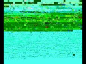 Ф. Фарелли "Провокативная терапия" кассета 2 часть 1