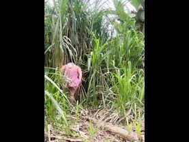 No 4gu4nt3 y l0 hic3La mari manabaValeria BasurtoKaren videos