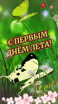 С первым днём лета, друзья! #видеооткрытки #пожелания #лето2021 #спер...