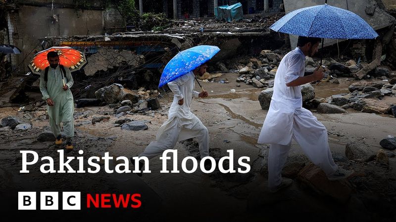 More than 330 dead in Pakistan floods | BBC News