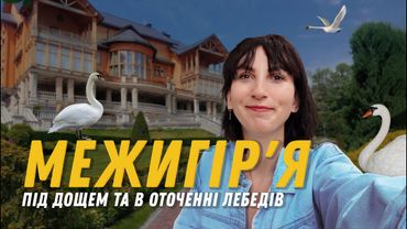 Лебеді взяли нас у полон, а потім ми промокли під дощем. Парк Межигір'я.