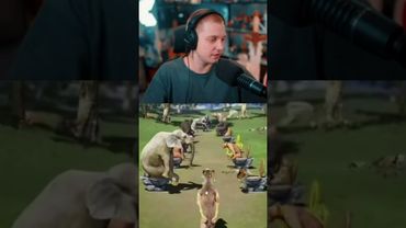 реклама #стинт #stint #stintik #прикол #реакция