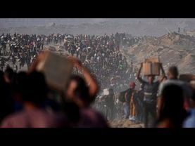 At least 25 killed after Israeli army opens fire near aid trucks in Gaza, hospitals say