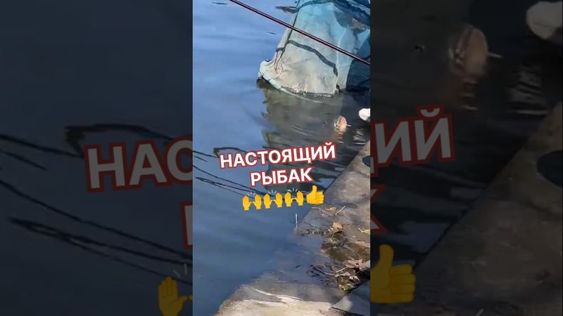 Настоящий рыбак 🐟🐟🐟