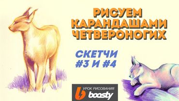 Рисуем карандашами четвероногих / Скетчи 3 и 4 / Урок для Boosty