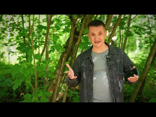 Крушение в метро - ошибка машиниста / Хронология