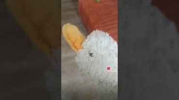 топ 4 юмор про жизненные ситуации