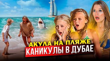 КАНИКУЛЫ в ДУБАЕ ! АКУЛА на ПЛЯЖЕ !