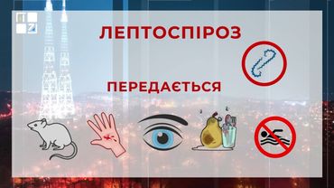 Лептоспіроз на Львівщині: жінка у важкому стані у лікарні