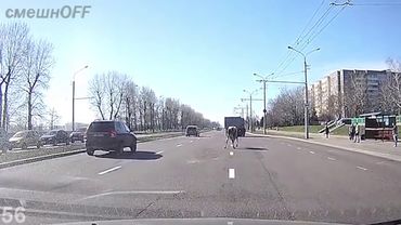 Дурні і дороги  # 32