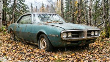 Fixing up an old Firebird