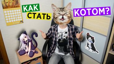 Как Стать Котом?