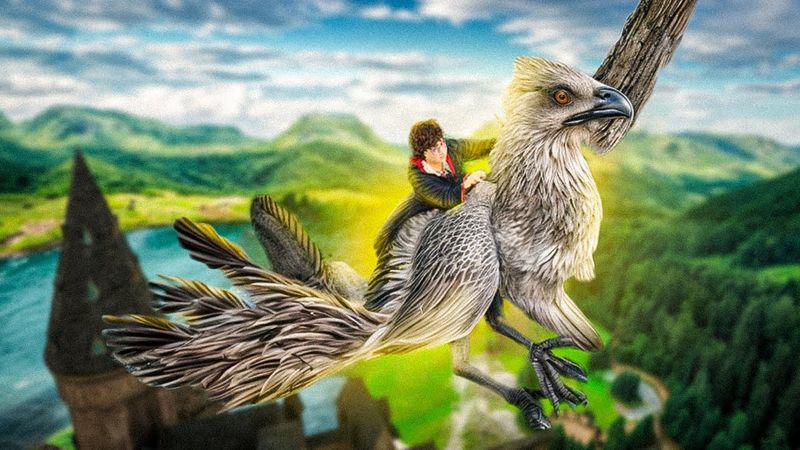 Совині перегони 🦉  Гаррі Поттер і В'язень Азкабану ps2 Проходження українською #4