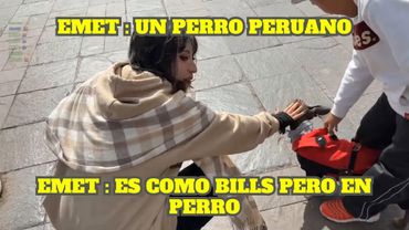 EMET SE ENCUENTRA POR PRIMERA VEZ CON UN PERRO PERUANO