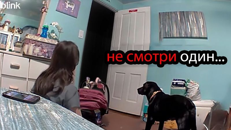 10 Самых Страшных Видео в Мире | Новая Подборка #35