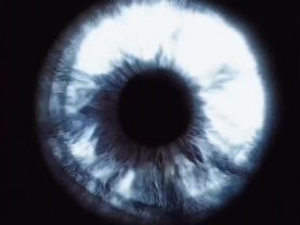 Lost in your iris  #iris #eyes #lostinyouriris #blue #fyp #fypp #blue...