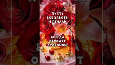 23 января С Днём Свекрови #деньсвекрови