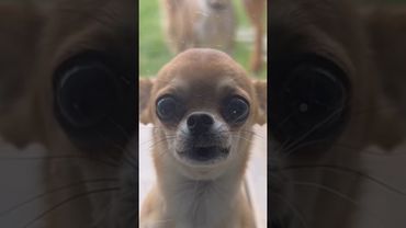 Час расплаты. Бежать некуда 😂