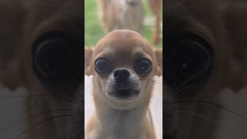 Час расплаты. Бежать некуда 😂