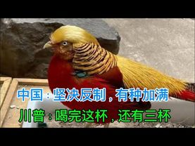 美国加税145%中国“不跟了”｜关税战到了各国表态“站队”决生死的时候