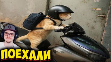 ЗАСМЕЯЛСЯ - ПРОИГРАЛ ► ЛУЧШИЕ ПРИКОЛЫ ( УЛЫБНУЛИСЬ ПРОИГРАЛИ ) | Реакция