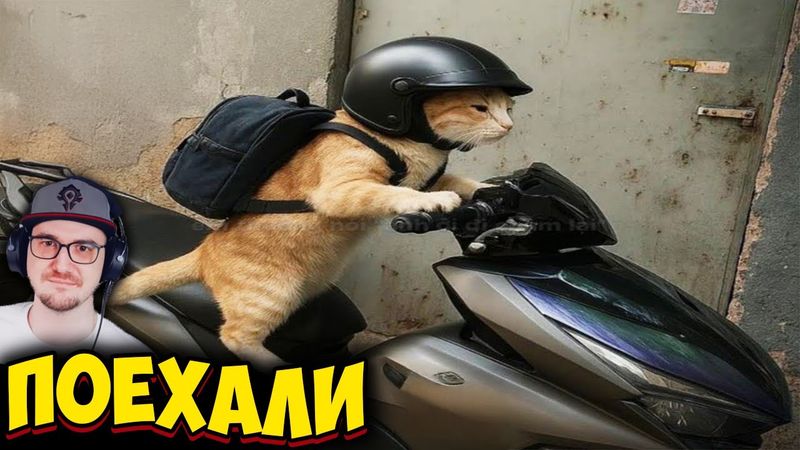 ЗАСМЕЯЛСЯ - ПРОИГРАЛ ► ЛУЧШИЕ ПРИКОЛЫ ( УЛЫБНУЛИСЬ ПРОИГРАЛИ ) | Реакция